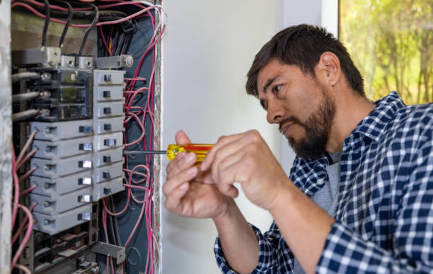Best Home Electrical Repair  in Nicholson, GA